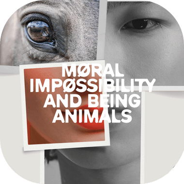 Experiential philosophy workshop: moral impossibility and being animals