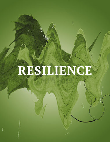 Resilience