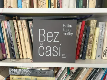 Bezčasí – haiku kojící matky